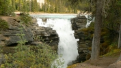 PICTURES/Jasper National Park - Alberta Canada/t_Athabasca Falls6.JPG